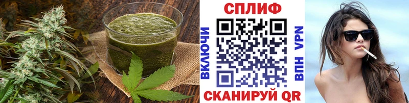 Купить где  Кондрово  Canna-Cookies конопля 