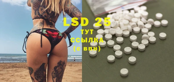 винт Вяземский