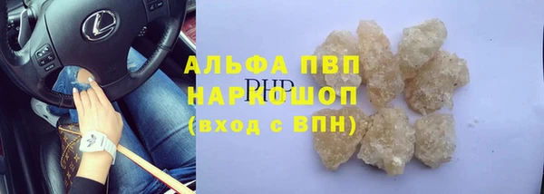 винт Вяземский