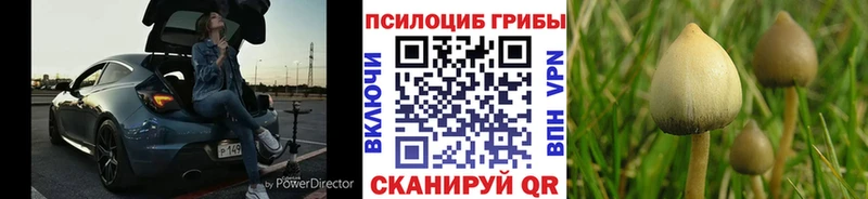 Псилоцибиновые грибы MAGIC MUSHROOMS Кондрово