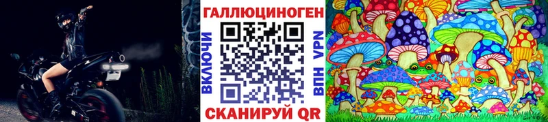 Купить где  Кондрово  Галлюциногенные грибы Magic Shrooms 
